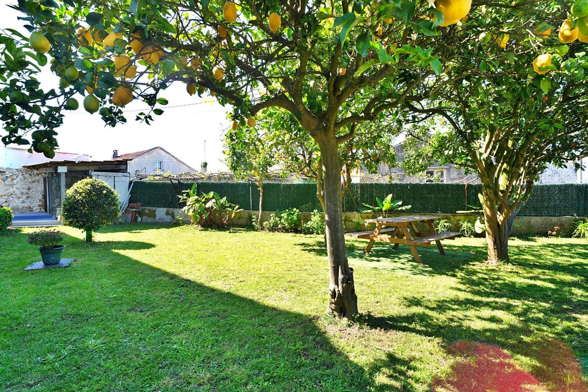 Casa Con Jardin En Vilanova De Arousa Pontevedra Exterior photo